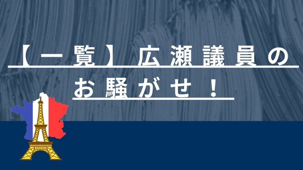 広瀬めぐみのお騒がせ一覧