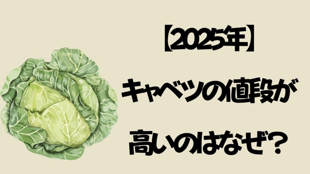 【2025年】キャベツの値段が高いのはなぜ？