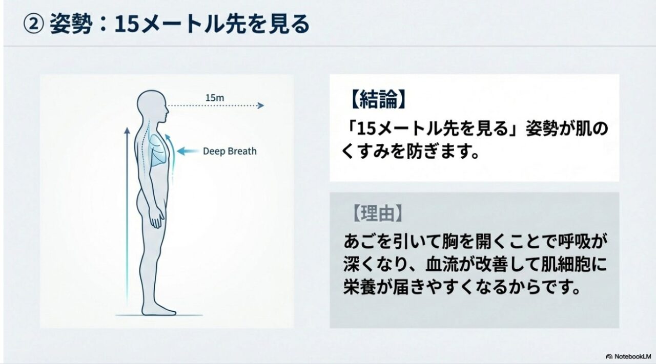 15メートル先を見る正しい姿勢が呼吸を深くし血流を改善する理由の解説図